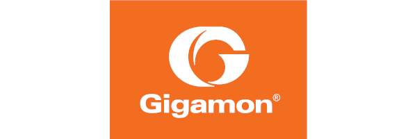 Gigamon